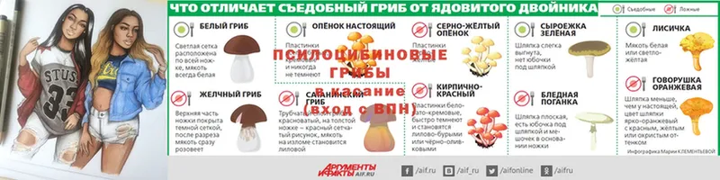 Псилоцибиновые грибы мицелий  купить наркотики сайты  Донской 